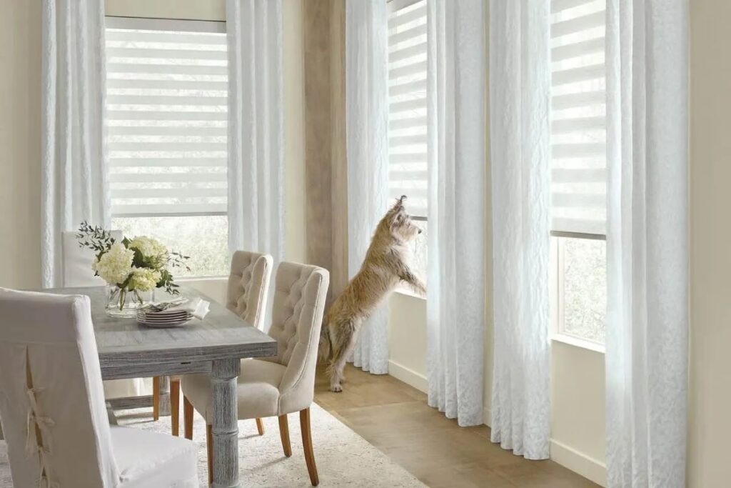 zebra blind Miramar