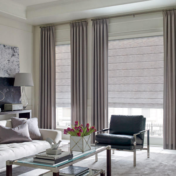 Alpha Blinds & Zebra Shades drapes